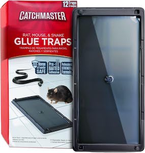 The 8 Best Rat Traps of 2023 [Tested & Reviewed]