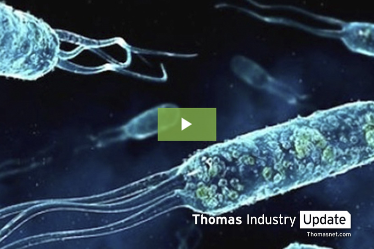 Turning Sea Bacteria Into Sub Hunters