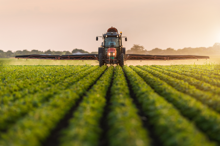 Are Incubator Farms the Solution to the Disappearing American Farmer?