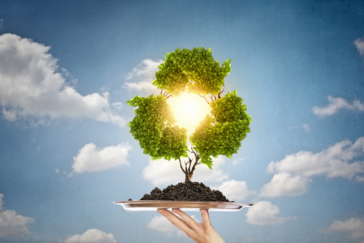 Recyclable Tray Manufacturer to Add 125 Jobs