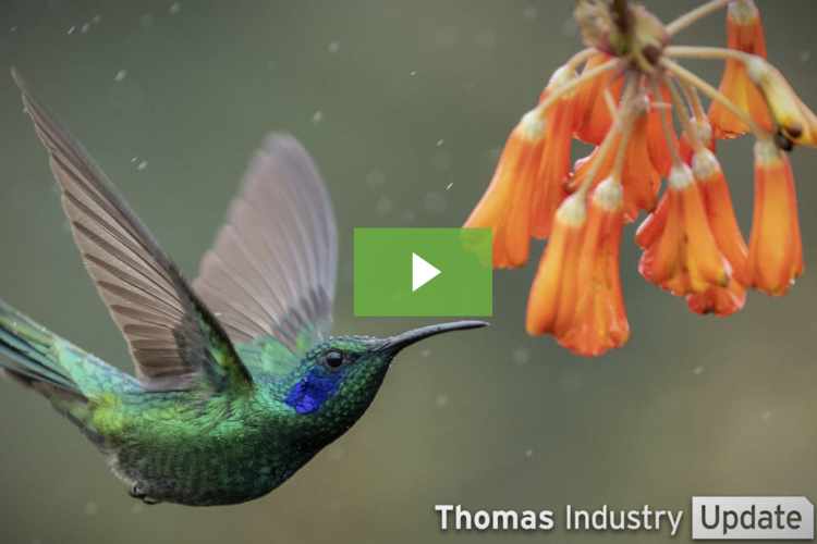 Robotic Hummingbirds Hover Like an Insect, Fly Like a Bird