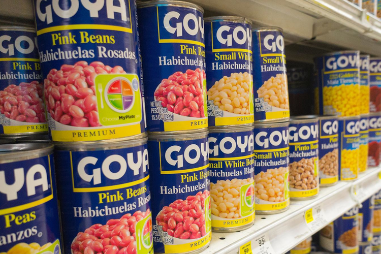 Goya foods essay 06 image