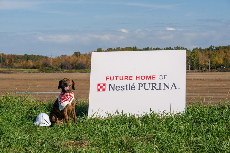  Lupe, a Plott Hound-Dachshund mix, poses in front of the future home of Nestlé Purina PetCare’s 23rd U.S. manufacturing facility, slated to begin operating in Williamsburg Township, Ohio in 2023.