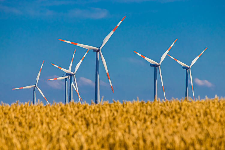 Wind turbines in field. 