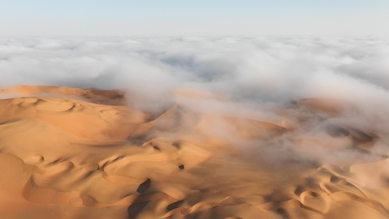 Fog Collectors Harvest Water from Thin Air - ThomasNet News