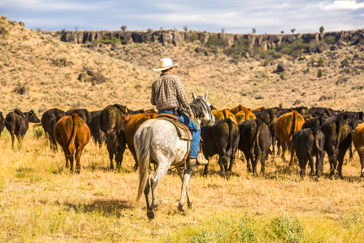 Rounding up the Maverick Spenders