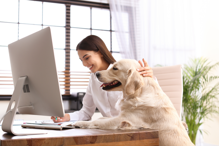 Annual Pet Sales in the U.S. Reach $100 Billion with New Demand for a Digital Market