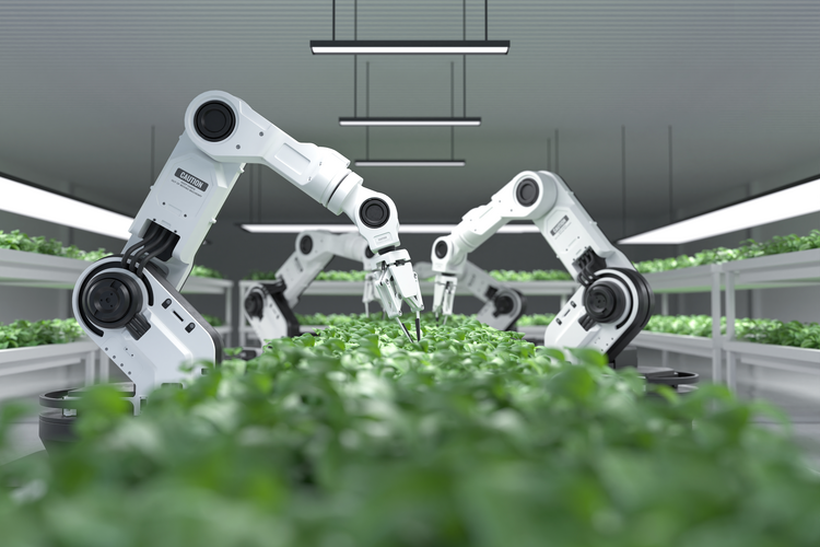 Robots farming greens in ultraurban farm