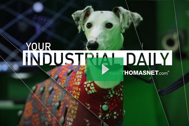 Why Researchers Are Strapping Dogs with Coats Covered in Reflective Markers