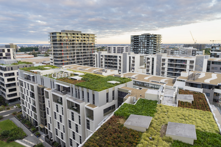 Why Green Roofing Can Be Key to Sustainability Efforts