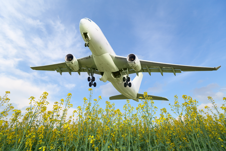 How Can Commercial Airlines Minimize the Environmental Impact of Flying?