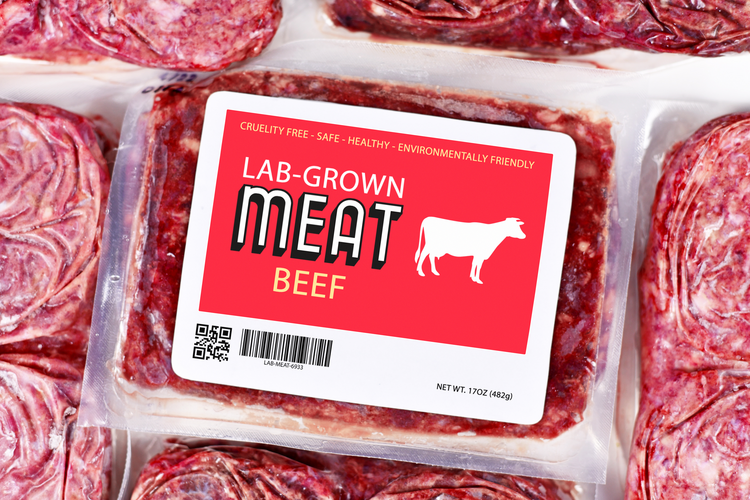 By 2026, lab-grown meat to be included in Irish menus