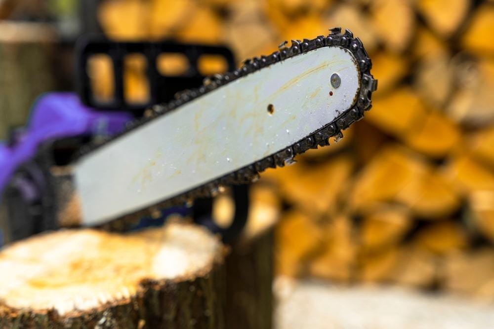 chain saw blade