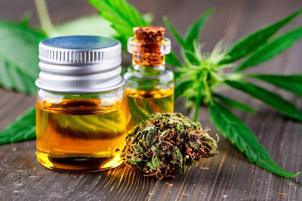 Top Cannabidiol (CBD) Oil Manufacturers and Suppliers in the USA