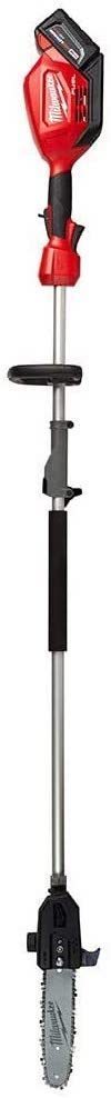 The Best Cordless Pole Saws in 2021 for Professional and Home Use