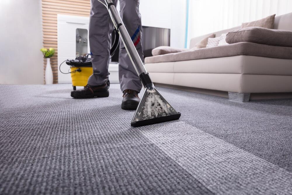 professional carpet steamer