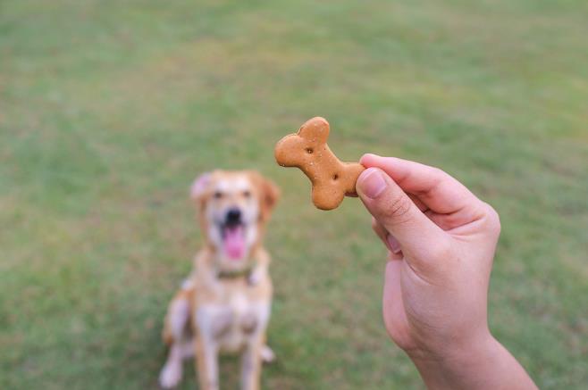 Polish dog treat maker buys competitor, boosts production