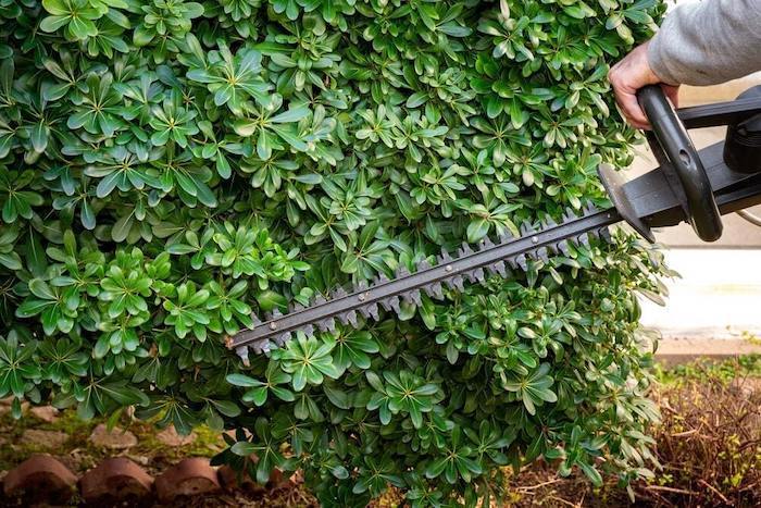 The Commercial Hedge Trimmers (Including from Brands like Poulan Pro and Husqvarna)