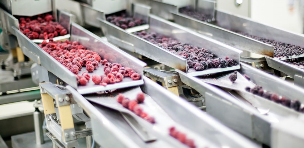 Overview of Food Processing Equipment - Types, Applications, and Important  Attributes