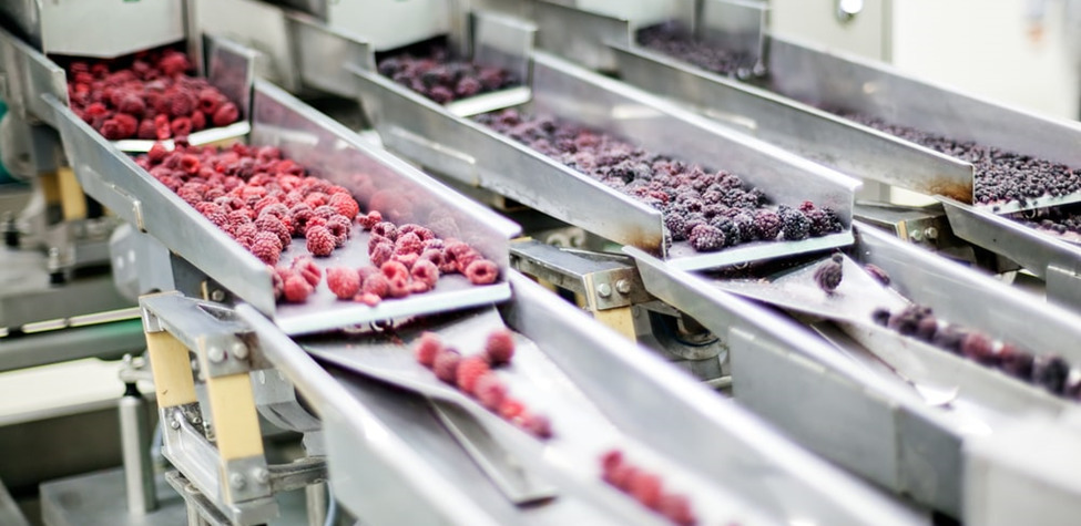 Overview Of Food Processing Equipment Types Applications And Important Attributes