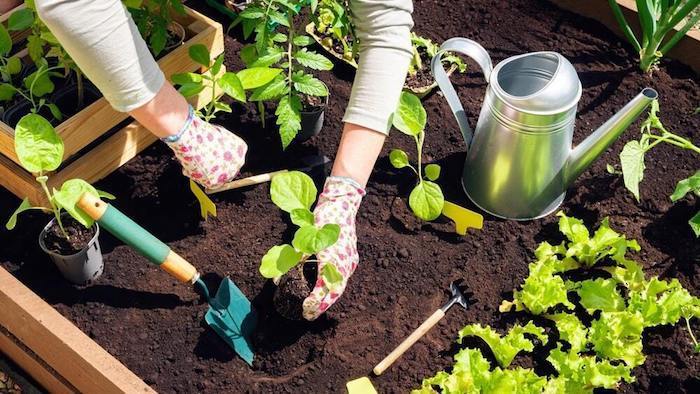 Hand Digging Planting Trowel Ergonomic Soft Grip Handles Strong Sturdy Gardening 