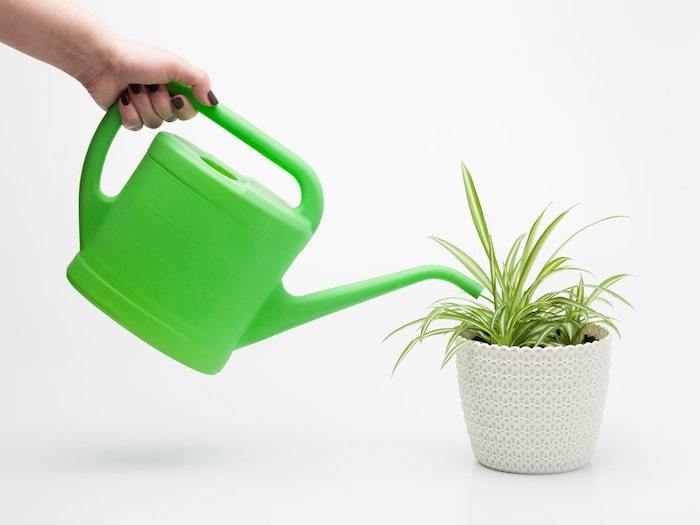 watering can with water coming out