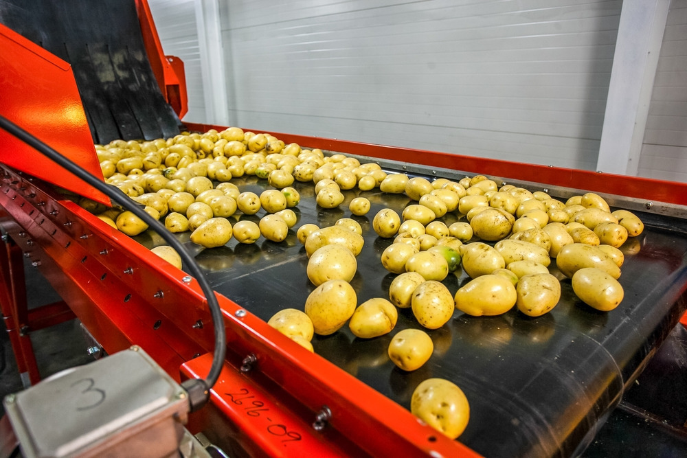 conveyor belt in factory