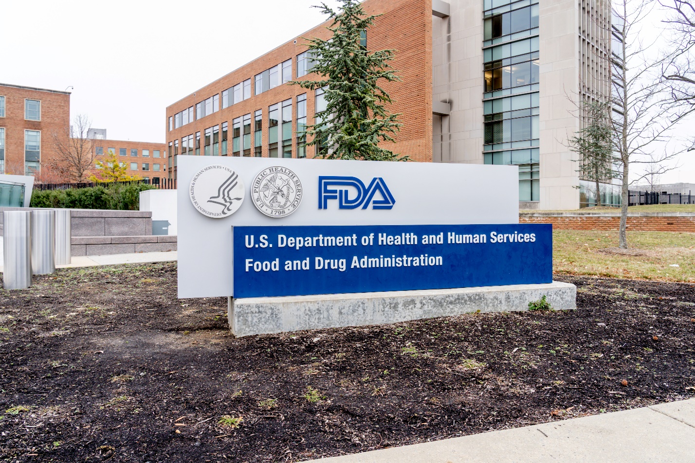 What is the FDA?