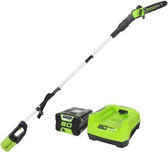 The 7 Best Electric Pole Saws in 2021 