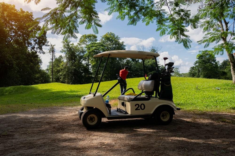 Top Suppliers of Golf Carts in the US and Canada