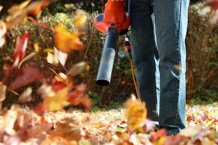 The 9 best leaf blowers for every yard in 2023