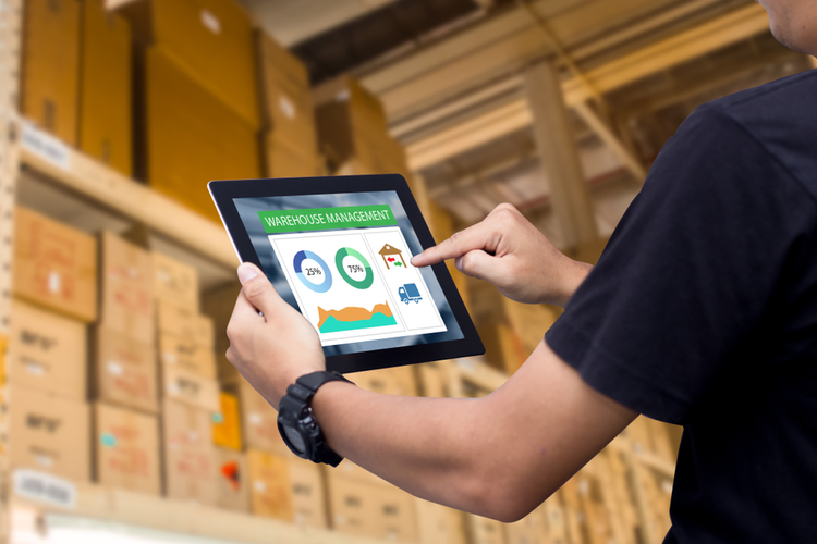 Managing Modern Warehouses With WMS