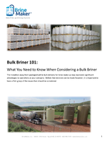 Bulk Briner 101: What You Need to Know When Considering a Bulk Briner