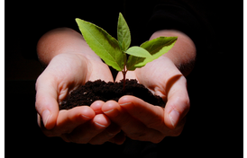 Hands holding dirt and plant, representing environmental growth