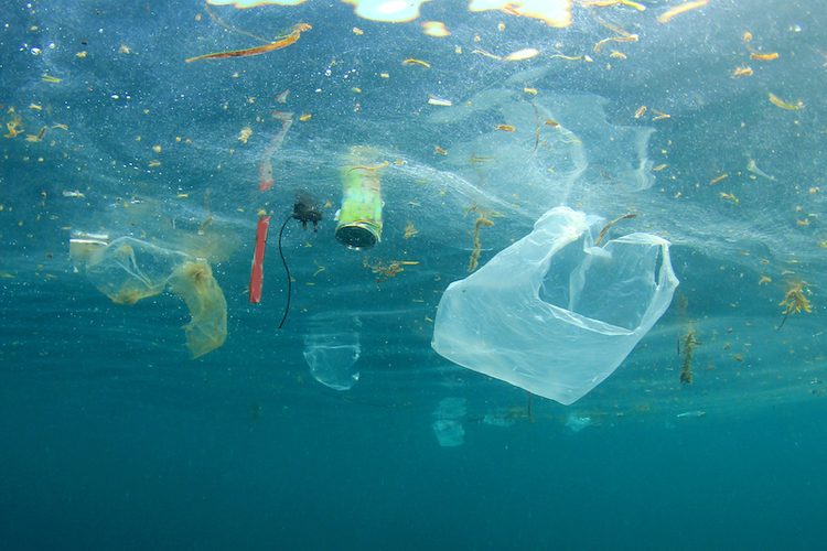 HP and Ikea Join NextWave to Reduce Plastic Waste in Oceans