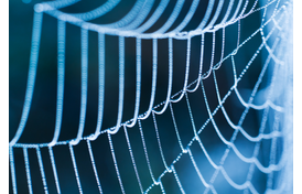 A Web Worth Exploring