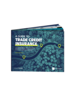 A Guide to Trade Credit Insurance