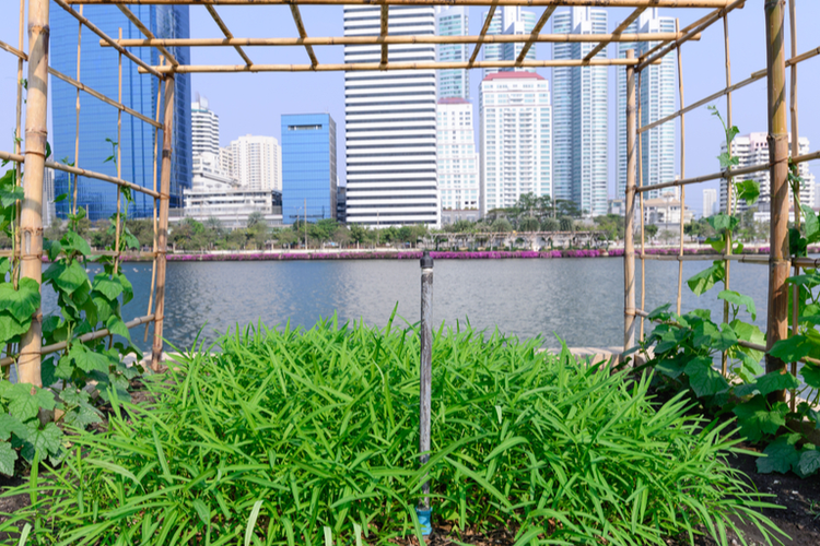 Elevating the Food Supply Chain