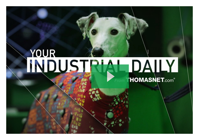 Why Researchers Are Strapping Dogs with Coats Covered in Reflective Markers