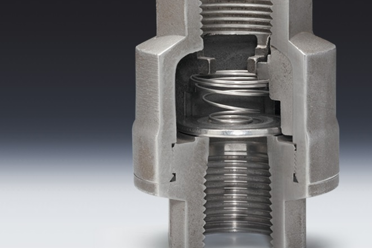 Threaded check valve