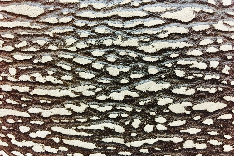 Sharkskin