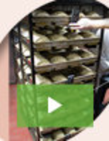 ECD's New BakeWATCH® M.O.L.E.® Profiler Simplifies Data Collecting Process