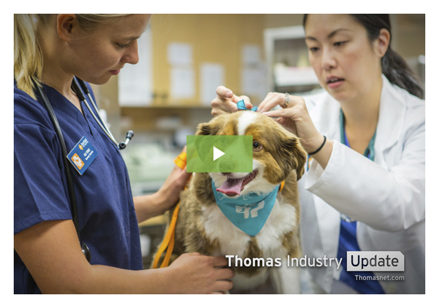 M&Ms Maker Wants to Be Your Vet, Too