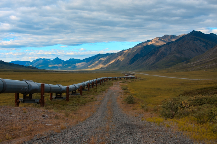 A Closer Look at Drilling the ANWR thumbnail