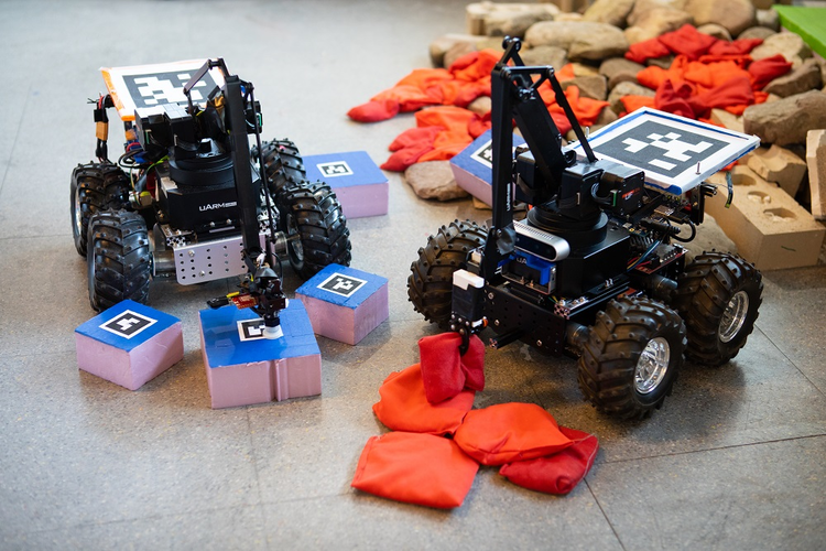 Beavers, Termites Inspire Autonomous Robots