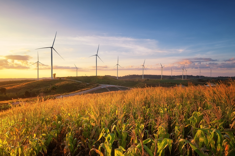 Wind Turbines