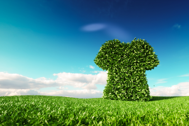 Green is the New Black: Sustainability in the Fashion World