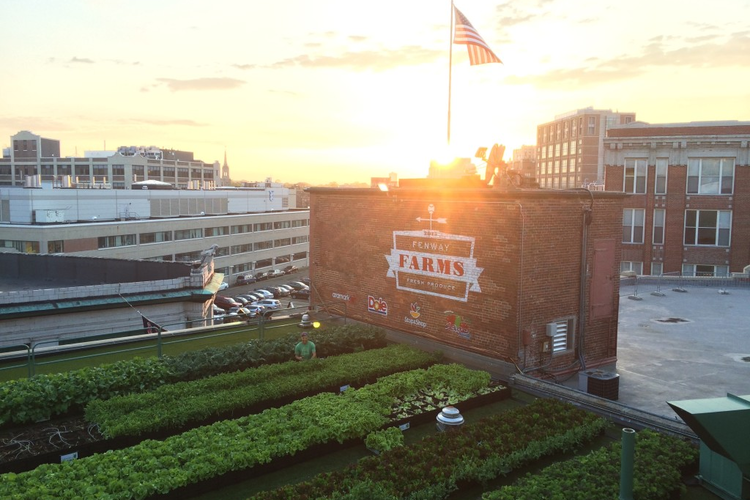 "Greening" the Green Monster: Fenway Park Farms