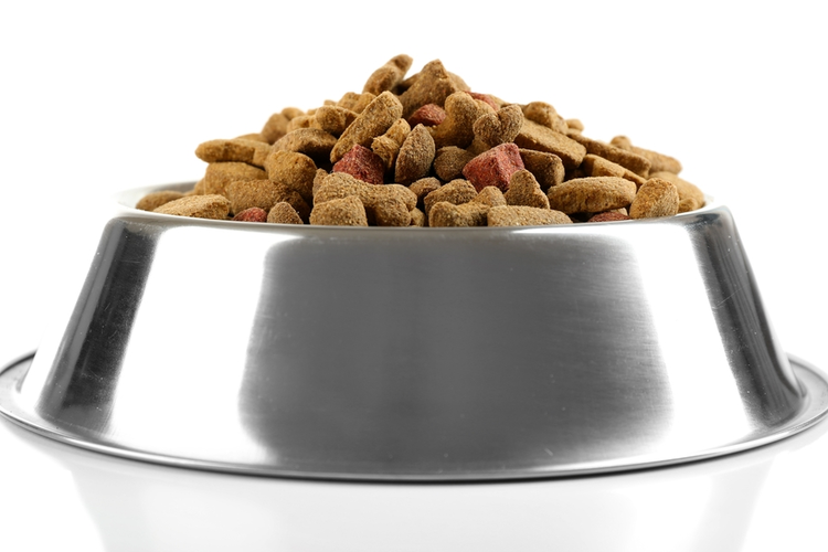 Pet Food Maker Creates 100 Jobs in Pennsylvania