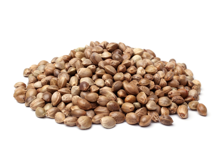 Cleveland Hemp Manufacturing Project Could Create Hundreds of Jobs